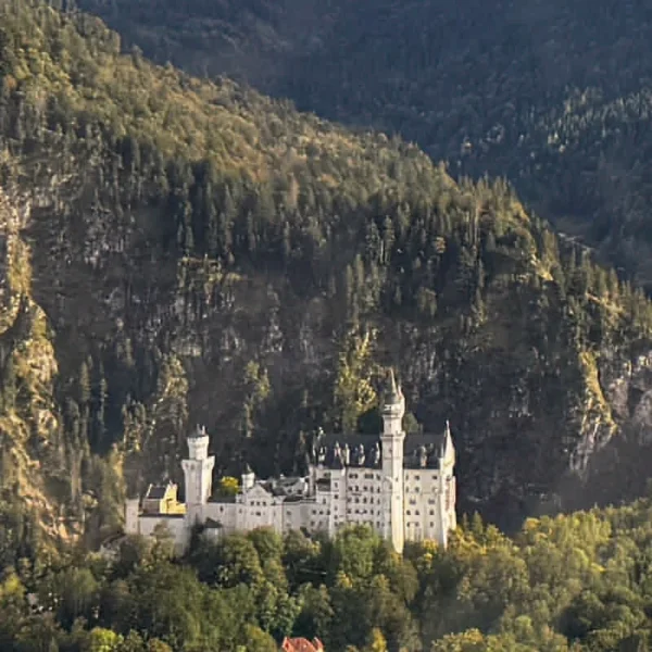 rundflug schloss neuschwanstein aus der luft