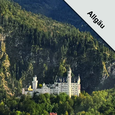 Schloss Neuschwanstein im Allgäu aus der Luft vor bewaldeter Bergkulisse